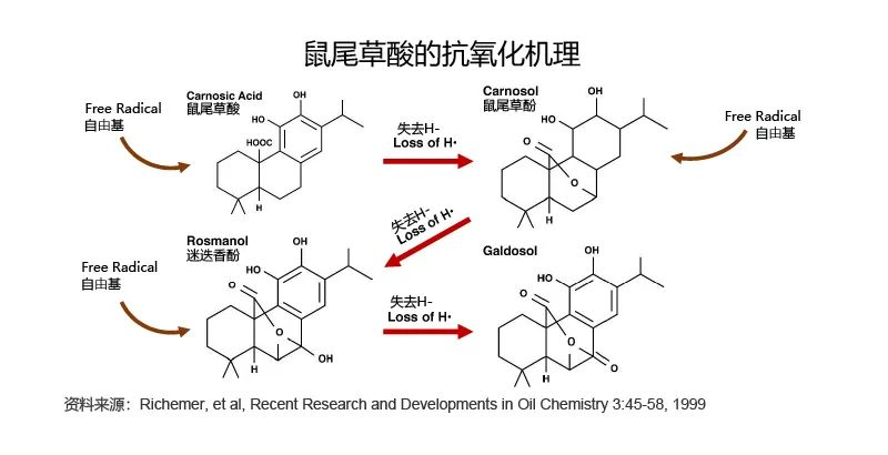 天然抗氧化剂