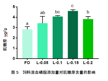 加州鲈鱼苗养殖方法