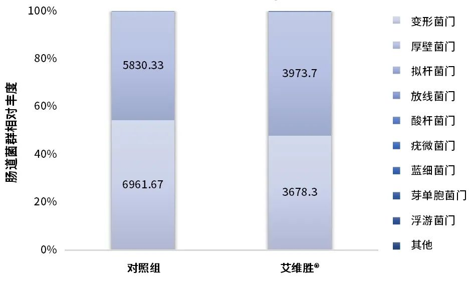 白对虾养殖